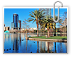 Florida Atlantic University ������� ������ ����� �������